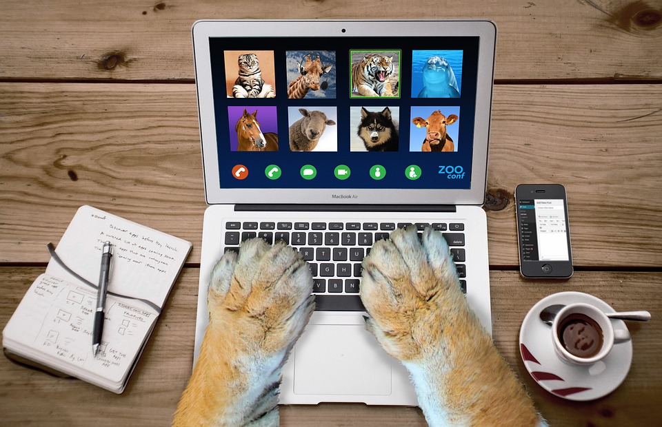 agenzia online